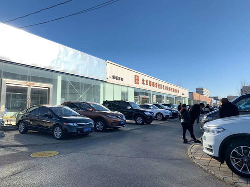 绥化到北京汽车多少钱