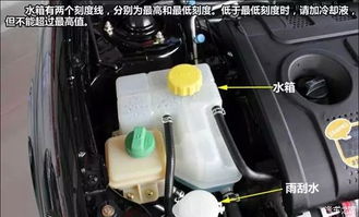 汽车水箱大概多少钱