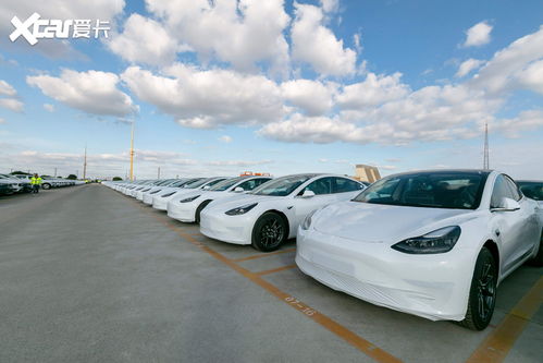 特斯拉车主正以创纪录水平换车 特斯拉车主正以创纪录水平换车