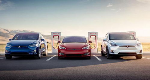 特斯拉车主正以创纪录水平换车 特斯拉车主正以创纪录水平换车