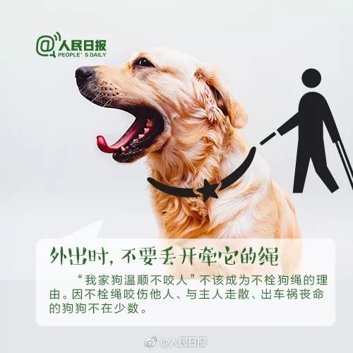 女子遛狗 狗爪夹回一颗3克重金豆