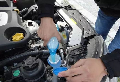 汽车冷却液多少钱