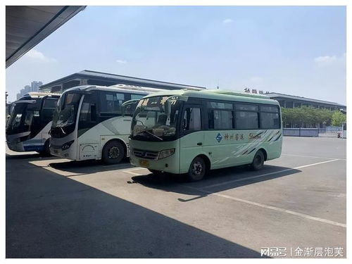 利辛汽车站电话是多少