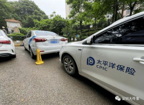 深圳98年汽车数量多少