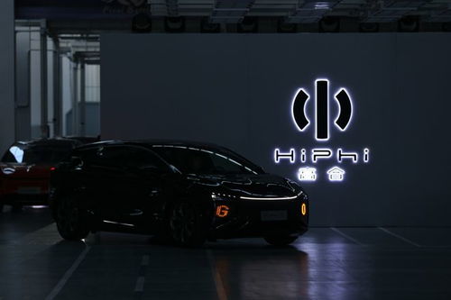 高合汽车总投资多少