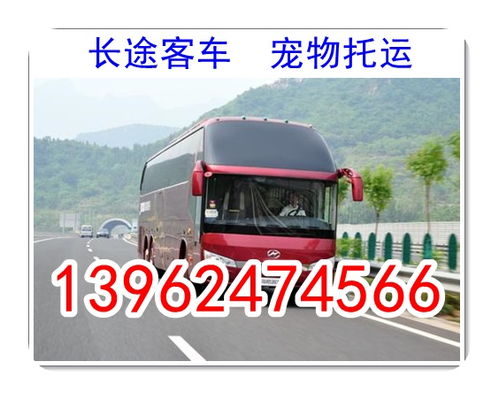 郑州到泌阳汽车多少钱