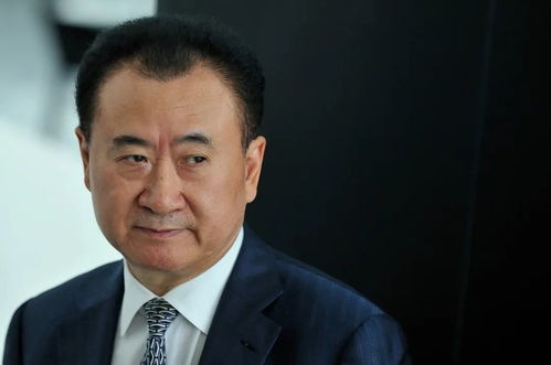 王健林80亿元股权被全部冻结