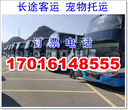 内江到汉中汽车多少钱