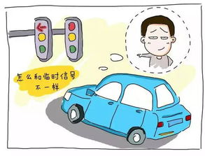 汽车违章交多少钱