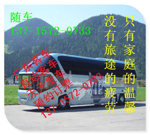 佛山到镇雄汽车多少钱 佛山到镇雄汽车多少钱