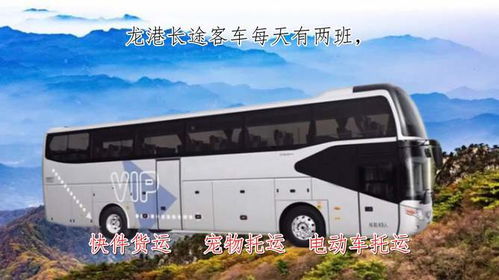 苍南到文成汽车多少钱