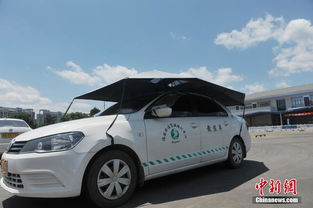 汽车驾照多少岁