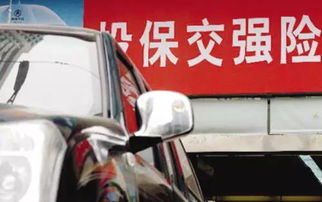汽车过户后保险交多少 汽车过户后保险交多少