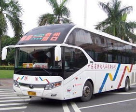 乐清到邢台汽车多少钱