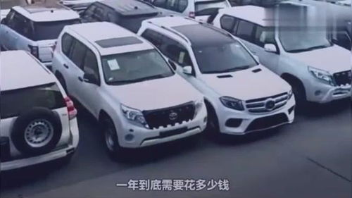 养汽车一年要多少钱 养汽车一年要多少钱