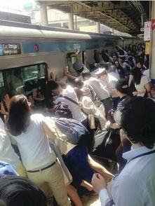 曾双膝跪地救人的地铁员工又救人了