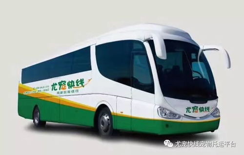 义乌到潢川汽车多少钱 义乌到潢川汽车多少钱