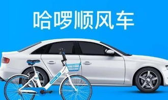 滴滴汽车补贴多少天