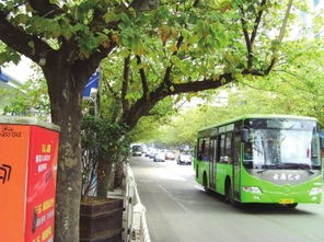 安顺市西秀区有多少汽车