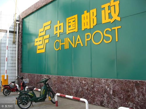 汽车过户换牌照多少钱
