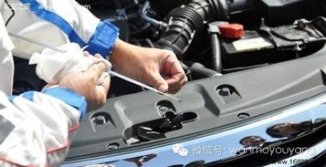 汽车跑多少公里划算保养