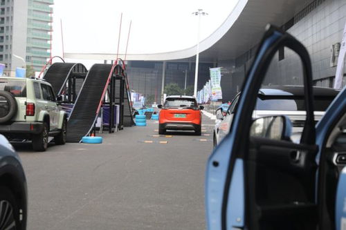 2022海口汽车有多少 2022海口汽车有多少