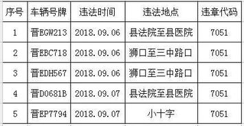 汽车违章代码是多少号