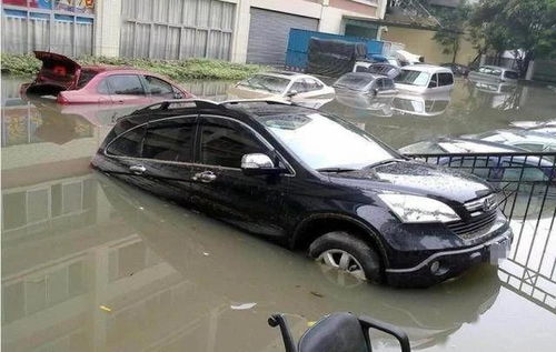 汽车泡水后保险赔付多少
