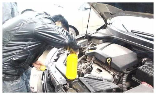 换汽车冷冻液多少钱 换汽车冷冻液多少钱
