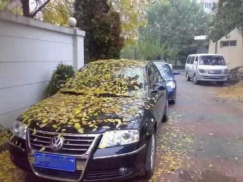 建安区汽车数量有多少