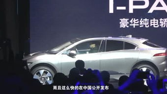 豆丁汽车多少钱