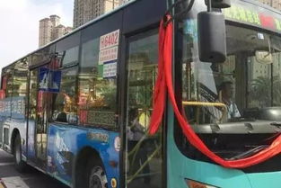 大亚湾有多少公共汽车 大亚湾有多少公共汽车