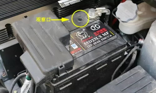 玩具汽车电瓶电压多少 玩具汽车电瓶电压多少