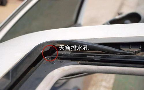 汽车加天窗要多少钱
