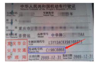 怎样查汽车终端号是多少