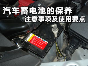 石家庄汽车电池价格多少
