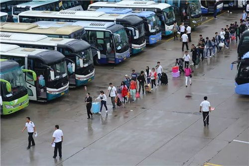 黄岛汽车总站占地多少