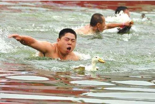 水上汽车高度是多少