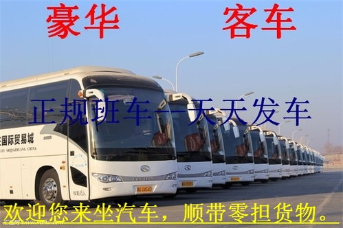 湖镇到深圳汽车多少钱