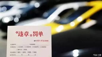 汽车违章多少天处理