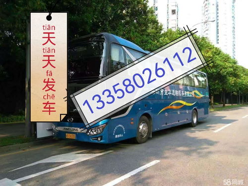 禄丰到元谋汽车多少钱 禄丰到元谋汽车多少钱