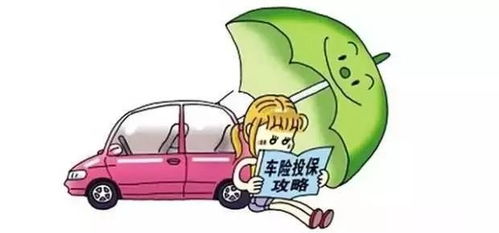 给汽车交保险多少钱 给汽车交保险多少钱