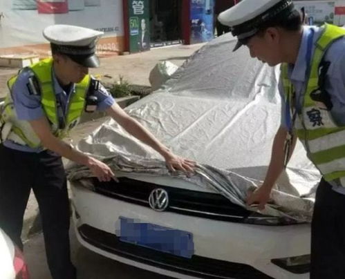 汽车套车衣多少钱