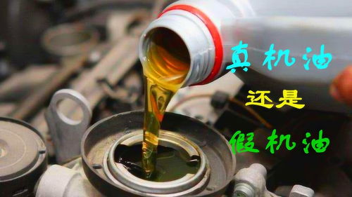 汽车换齿轮油多少钱