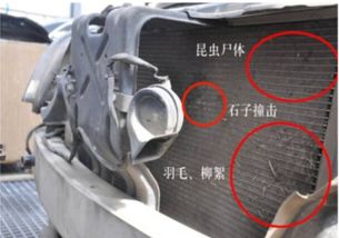 小汽车能装多少水箱