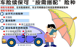 汽车有多少险种