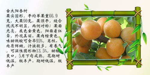 内蒙汽车专修厂多少费用