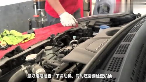 汽车没保养能开多少油费