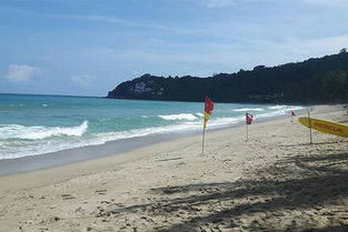 泰国海滩发现中国游客遗体