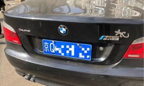 壁虎汽车贴多少钱